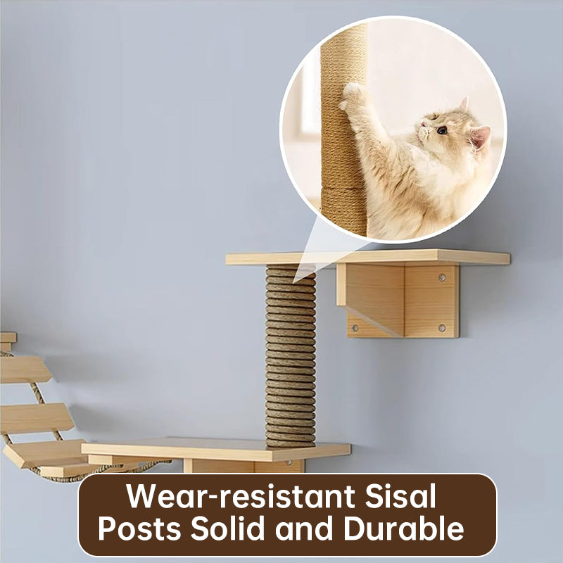 Wall-mounted cat hammock and scratching post